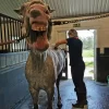 ks_kastet_stable-leende-hast